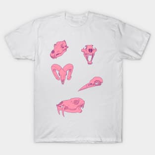 Pink Skulls T-Shirt
